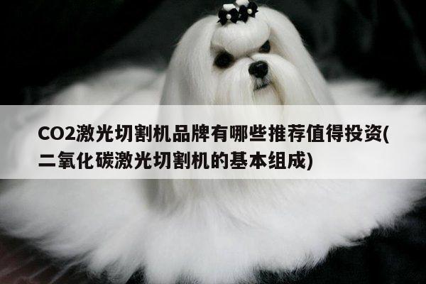 ayx爱游戏-CO2激光切割机品牌有哪些推荐值得投资(二氧化