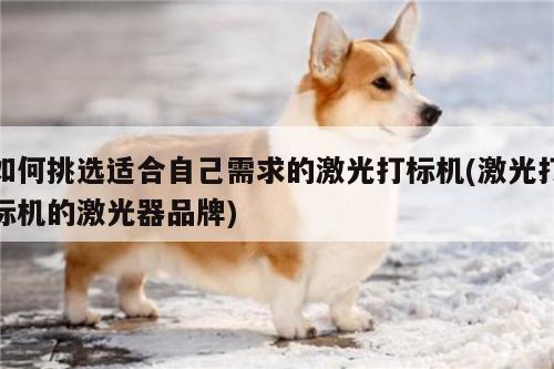 【爱游戏(ayx)官方网站】如何挑选适合自己需求的激光打标机