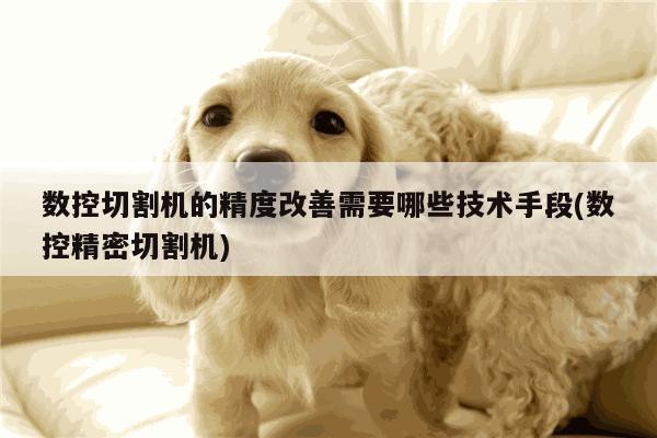 爱游戏(ayx)官方网站|数控切割机的精度改善需要哪些技术手