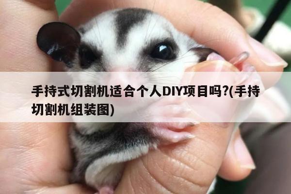 手持式切割机适合个人DIY项目吗?(手持切割机组装图)【爱游