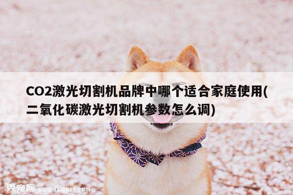 爱游戏平台|CO2激光切割机品牌中哪个适合家庭使用(二氧化碳