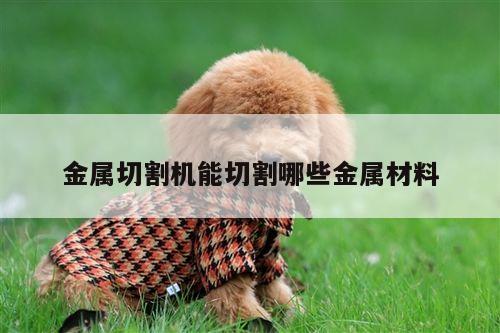 爱游戏app|金属切割机能切割哪些金属材料