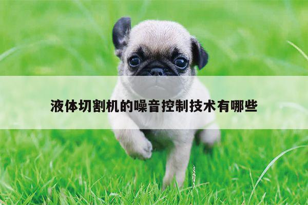 【爱游戏(ayx)官方网站】液体切割机的噪音控制技术有哪些
