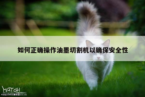 如何正确操作油墨切割机以确保安全性-爱游戏(ayx)官方网站