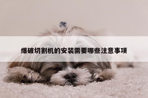 爱游戏平台：爆破切割机的安装需要哪些注意事项