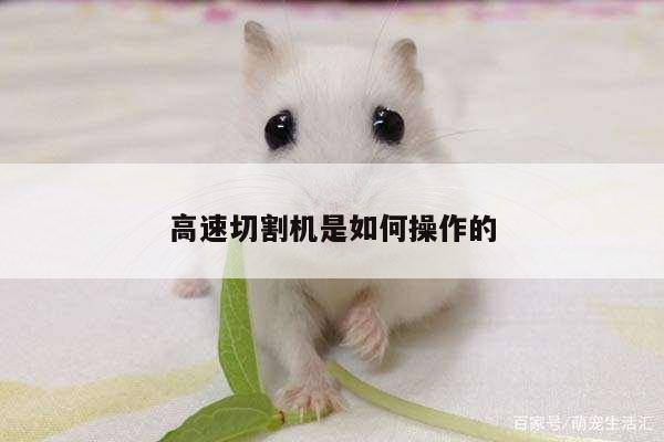 爱游戏(ayx)官方网站|高速切割机是如何操作的