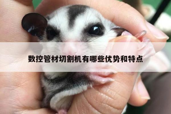 数控管材切割机有哪些优势和特点：ayx爱游戏