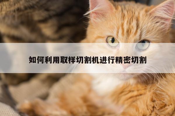 爱游戏平台-如何利用取样切割机进行精密切割