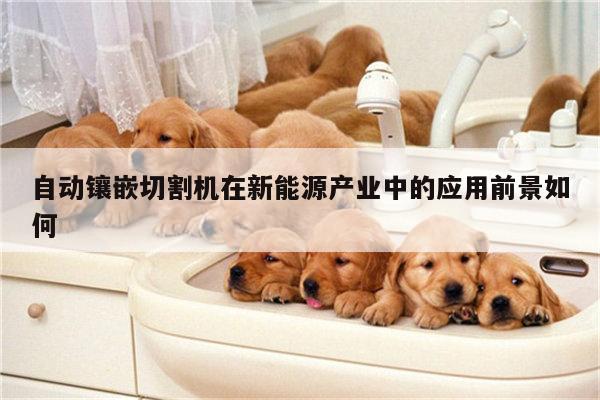自动镶嵌切割机在新能源产业中的应用前景如何-爱游戏(ayx)官方网站