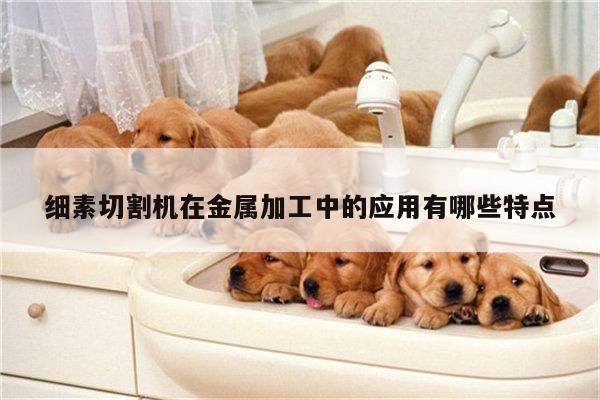 细素切割机在金属加工中的应用有哪些特点【爱游戏(ayx)官方网站】