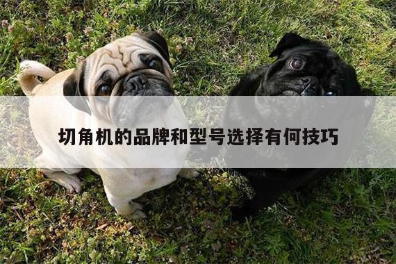 切角机的品牌和型号选择有何技巧_ayx爱游戏