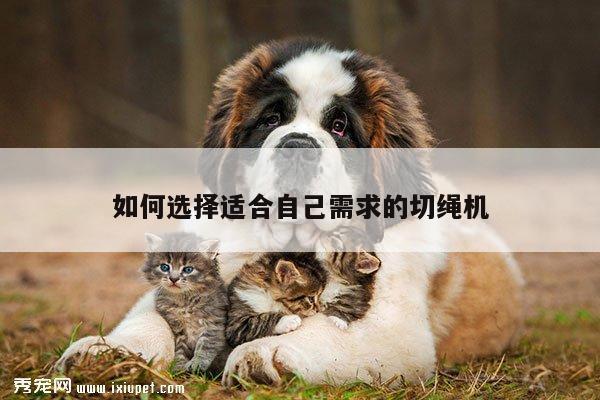 如何选择适合自己需求的切绳机|爱游戏app