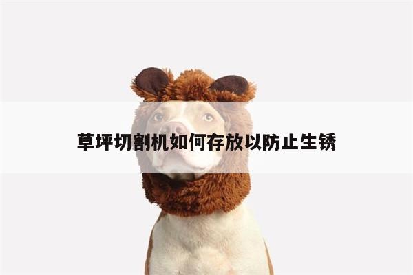 爱游戏平台-草坪切割机如何存放以防止生锈