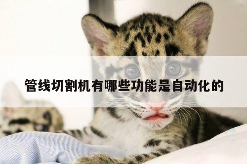 爱游戏(ayx)官方网站：管线切割机有哪些功能是自动化的
