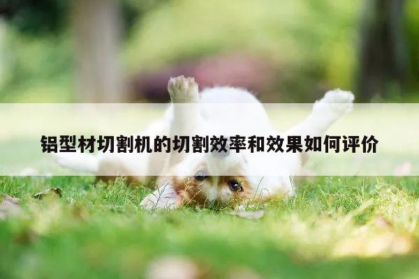 【爱游戏app】铝型材切割机的切割效率和效果如何评价