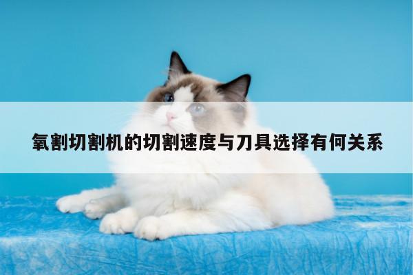 氧割切割机的切割速度与刀具选择有何关系-爱游戏(ayx)官方网站