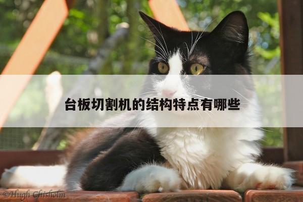 台板切割机的结构特点有哪些-ayx爱游戏