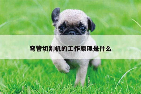 ayx爱游戏|弯管切割机的工作原理是什么