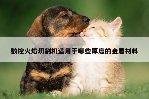 ayx爱游戏_数控火焰切割机适用于哪些厚度的金属材料