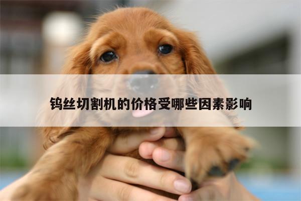 爱游戏平台_钨丝切割机的价格受哪些因素影响