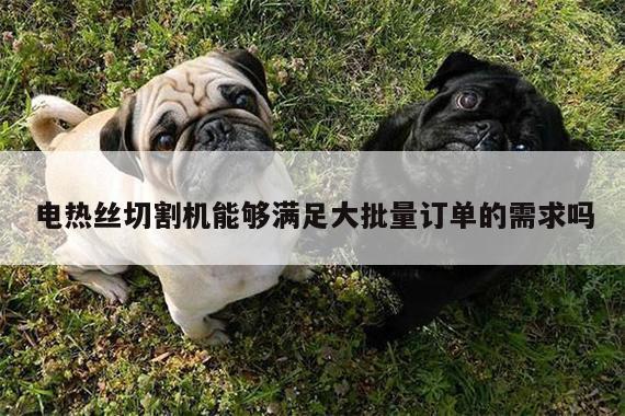 爱游戏app-电热丝切割机能够满足大批量订单的需求吗