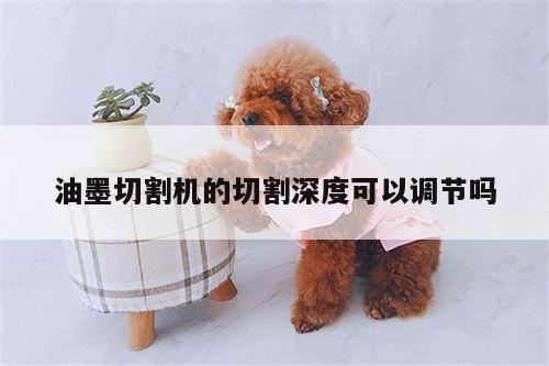 油墨切割机的切割深度可以调节吗【爱游戏app】