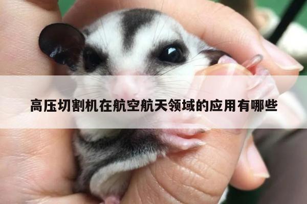 高压切割机在航空航天领域的应用有哪些_爱游戏app