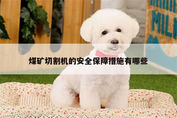 煤矿切割机的安全保障措施有哪些|爱游戏(ayx)官方网站
