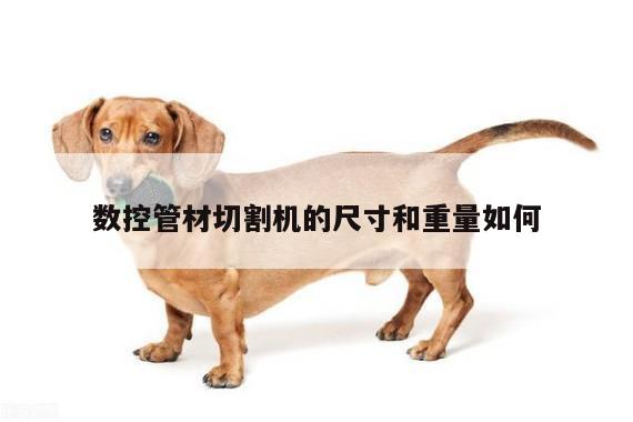 【爱游戏app】数控管材切割机的尺寸和重量如何