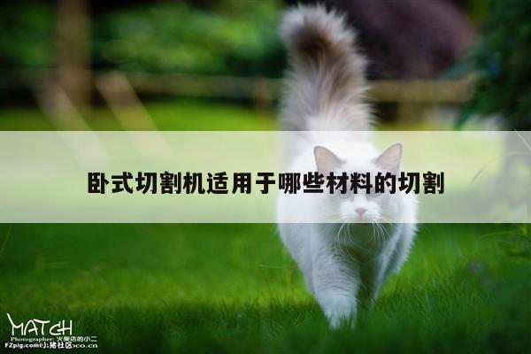 爱游戏app|卧式切割机适用于哪些材料的切割