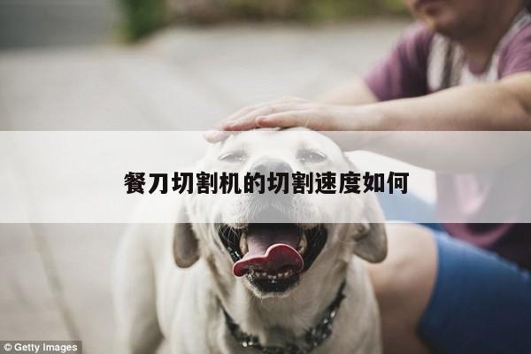 爱游戏app-餐刀切割机的切割速度如何