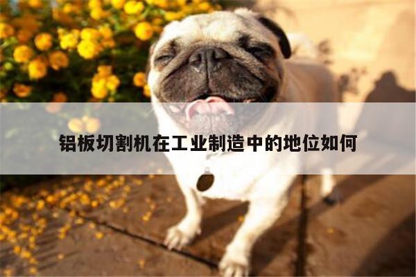 爱游戏平台-铝板切割机在工业制造中的地位如何