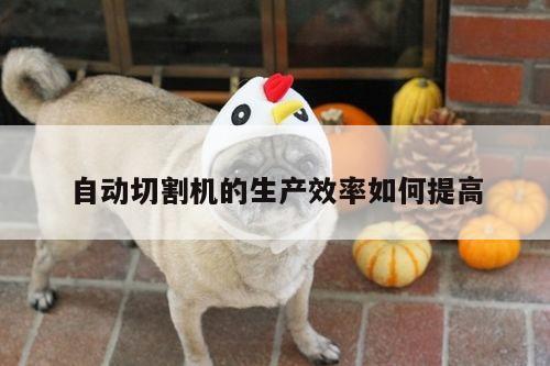 ayx爱游戏-自动切割机的生产效率如何提高