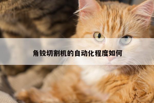 角铰切割机的自动化程度如何|爱游戏平台