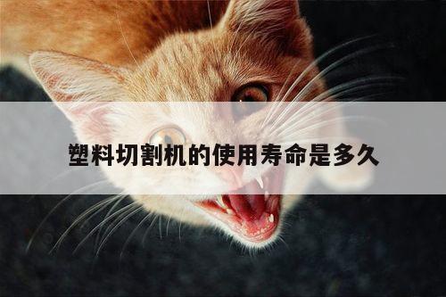 塑料切割机的使用寿命是多久-爱游戏(ayx)官方网站