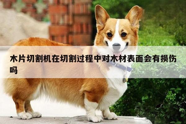 ayx爱游戏|木片切割机在切割过程中对木材表面会有损伤吗