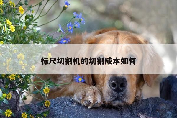 标尺切割机的切割成本如何【爱游戏app】