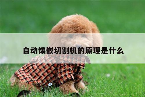 爱游戏(ayx)官方网站_自动镶嵌切割机的原理是什么