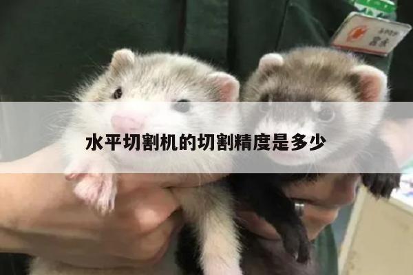 爱游戏app_水平切割机的切割精度是多少