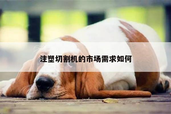 爱游戏app_注塑切割机的市场需求如何