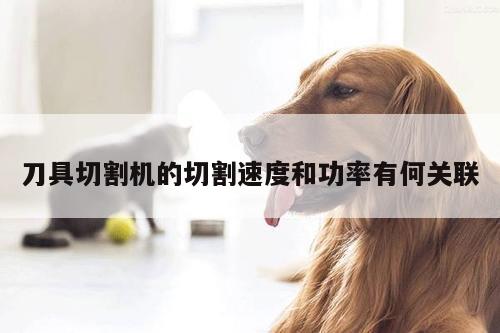 爱游戏(ayx)官方网站-刀具切割机的切割速度和功率有何关联