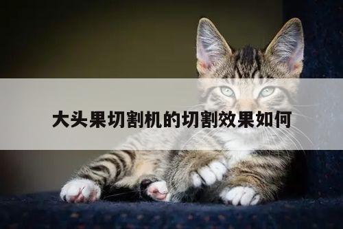 大头果切割机的切割效果如何：爱游戏(ayx)官方网站