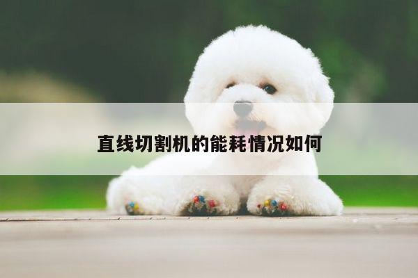 直线切割机的能耗情况如何-爱游戏平台