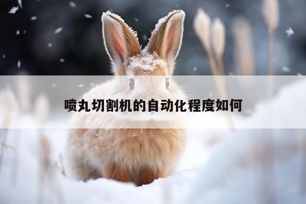 爱游戏(ayx)官方网站：喷丸切割机的自动化程度如何