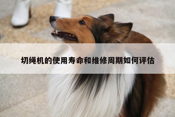 【爱游戏平台】切绳机的使用寿命和维修周期如何评估