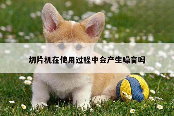 切片机在使用过程中会产生噪音吗_爱游戏平台