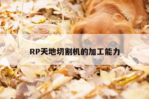 爱游戏app：RP天地切割机的加工能力