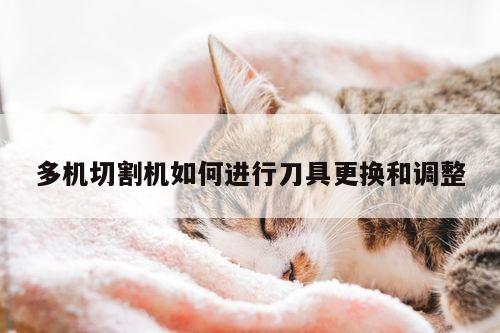 多机切割机如何进行刀具更换和调整【爱游戏app】