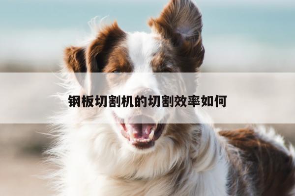 【ayx爱游戏】钢板切割机的切割效率如何