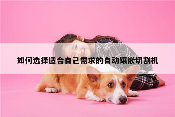 爱游戏平台|如何选择适合自己需求的自动镶嵌切割机